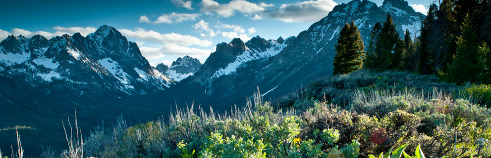 SAWTOOTH SOCIETY INC