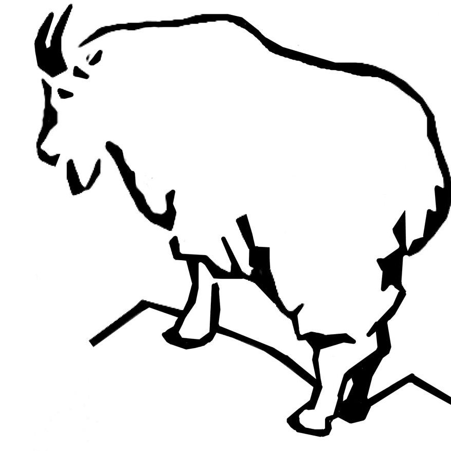 SAWTOOTH SOCIETY INC