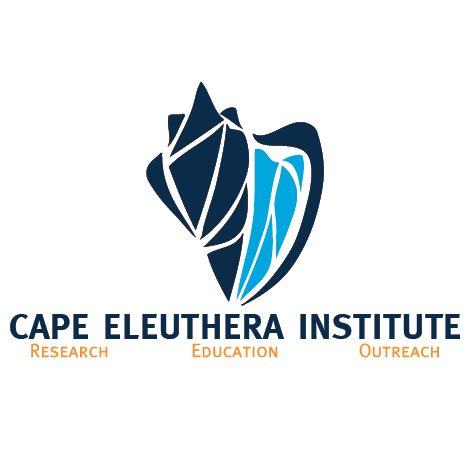 CAPE ELEUTHERA INSTITUTE