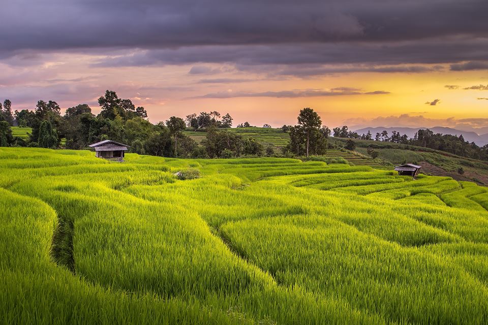 EcoAgriculture Partners