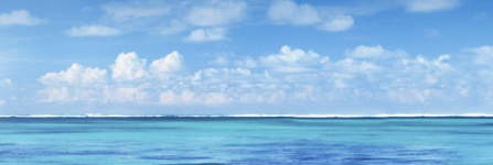 WOMENS REFUGE OF VERO BEACH INC