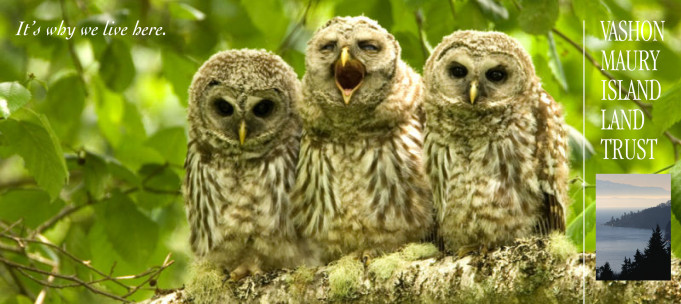VASHON-MAURY ISLAND LAND TRUST