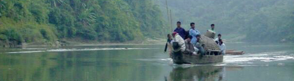 Farms International, Inc. cover