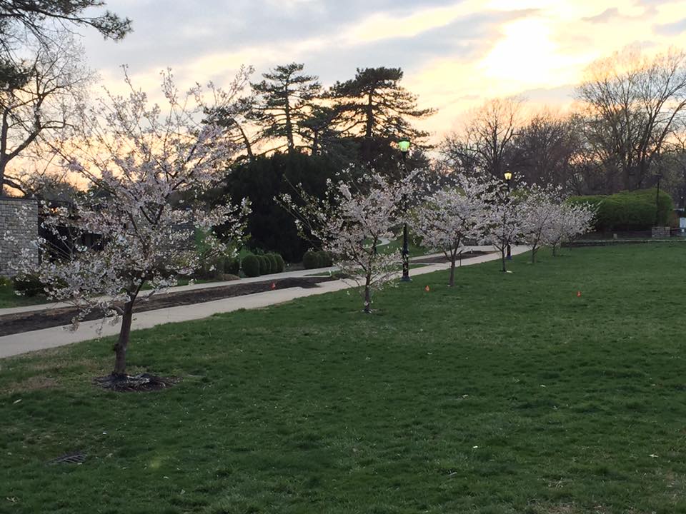 Heart of America Japan-America Society