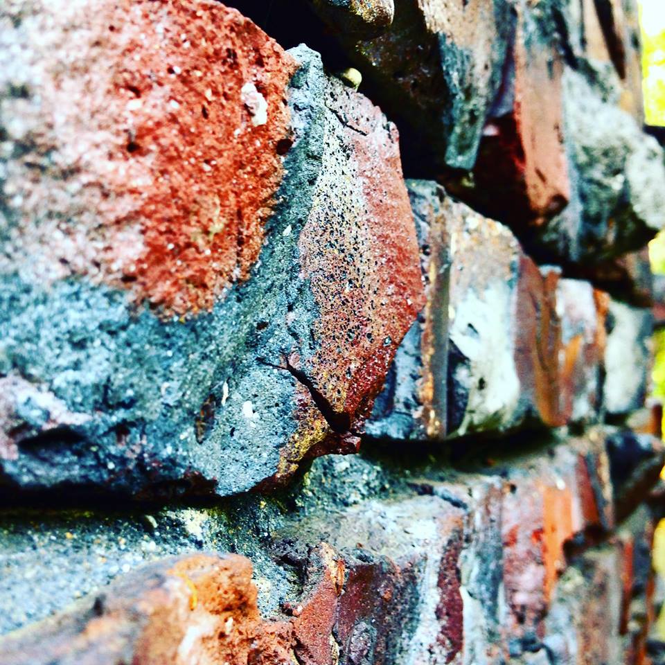 SEATTLE PARKS FOUNDATION