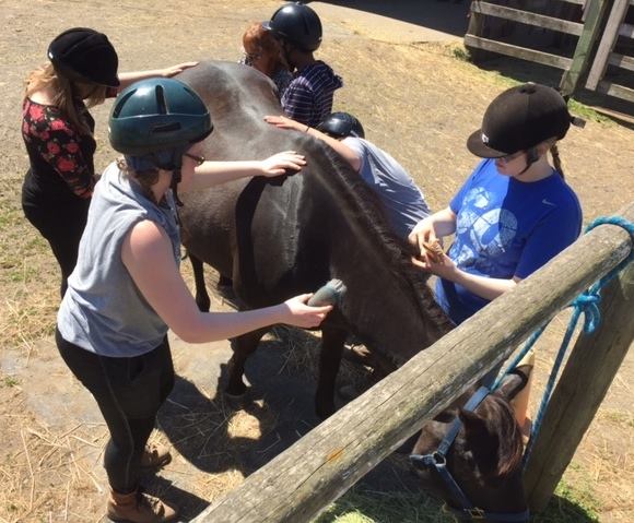 ANIMALS AS NATURAL THERAPY