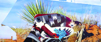 NAVAJO EVANGELICAL LUTHERAN MISSION INC cover