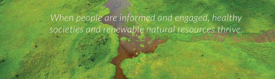 Calm Air Visibility Unlimited cover