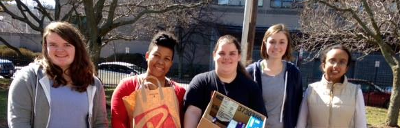 DOMESTIC VIOLENCE EMERGENCY SERVICES INC DOVE INC