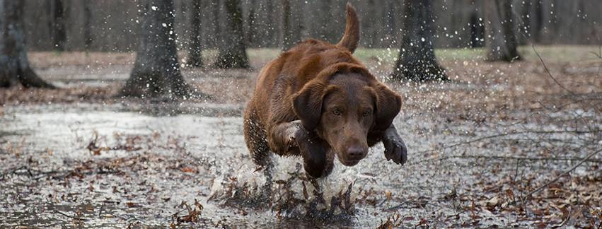 Theodore Roosevelt Conservation Partnership, Inc.