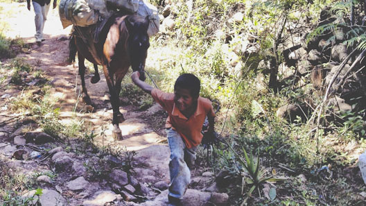 Photo 3 from GLOBAL COMMUNITY WORKS