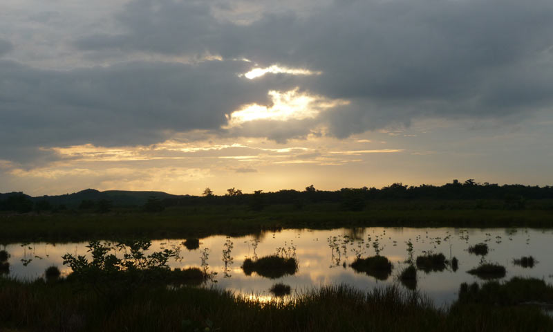 Photo 4 from Para la Naturaleza