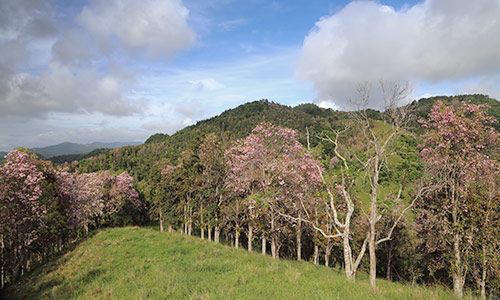 Photo 2 from Para la Naturaleza