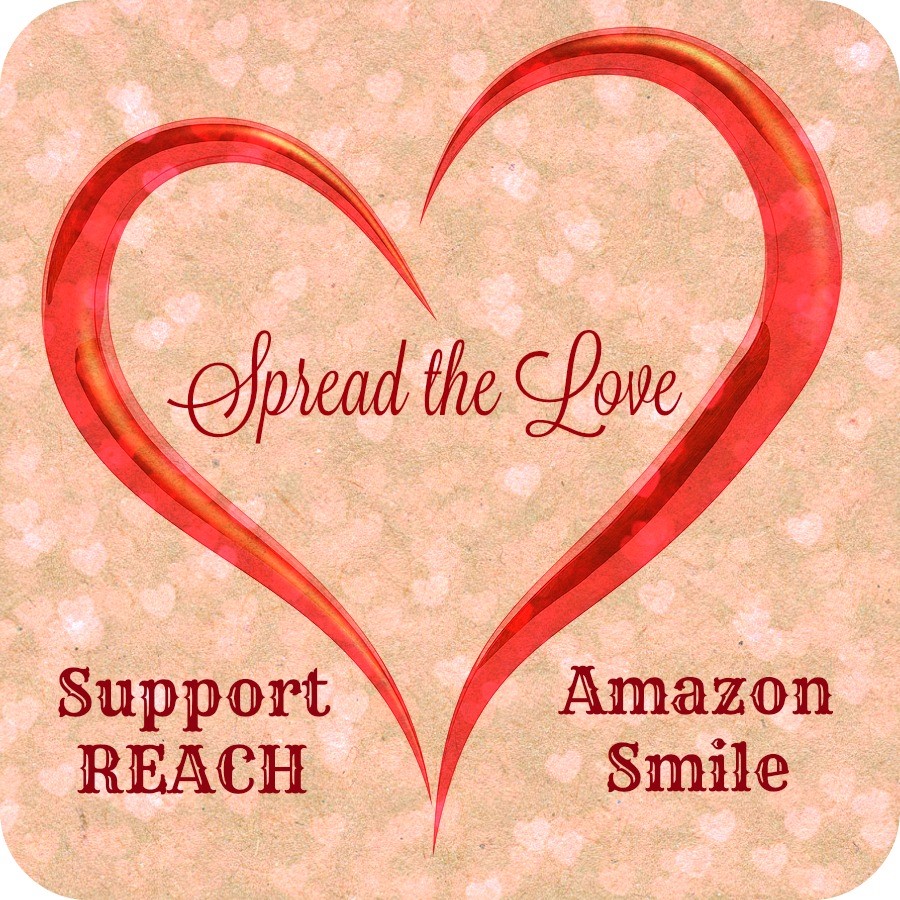 Photo 5 from REACH OF HAYWOOD COUNTY