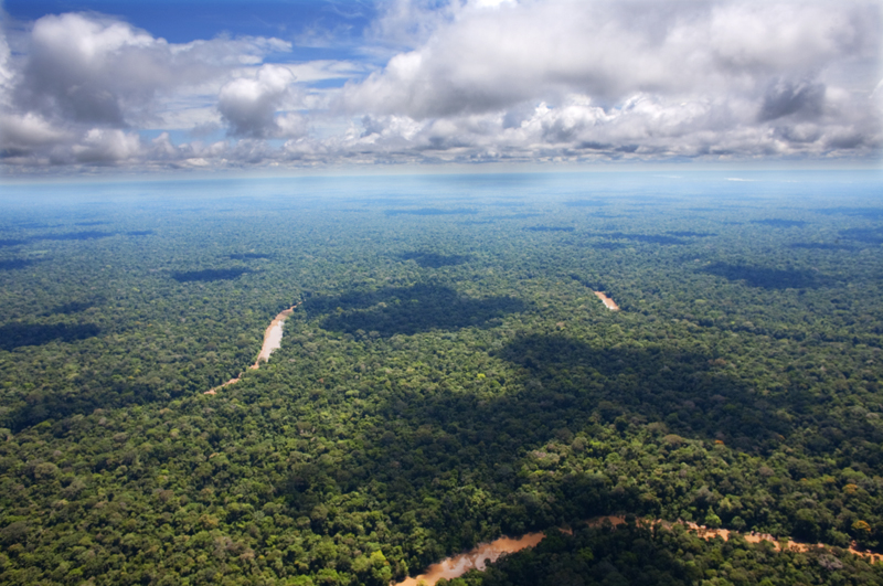 Photo 4 from Amazon Watch