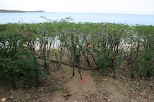 Photo 6 from Para la Naturaleza