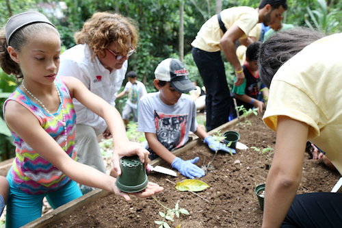 Photo 9 from Para la Naturaleza