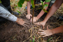 Photo 1 from Para la Naturaleza