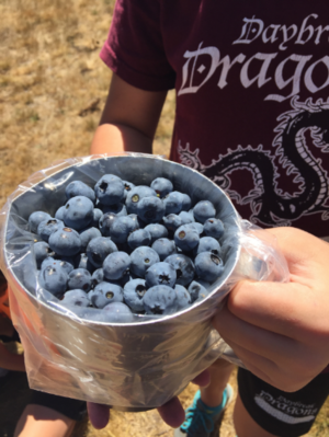 Photo 3 from CLARK COUNTY FOOD BANK