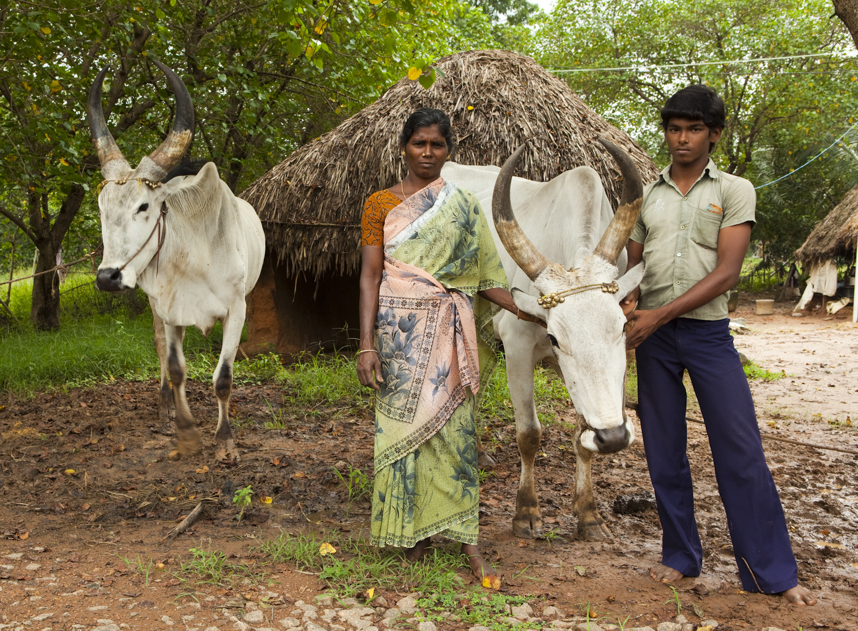 Photo 3 from Sahaya International