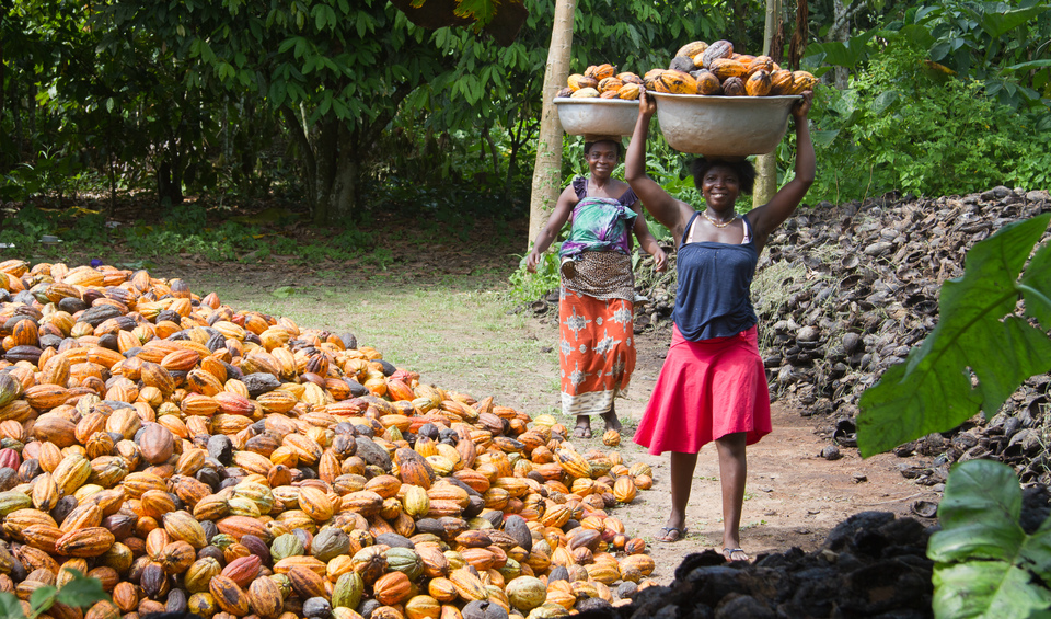 Photo 1 from TechnoServe