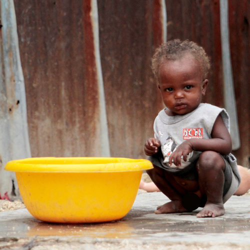 Photo 5 from Dributts