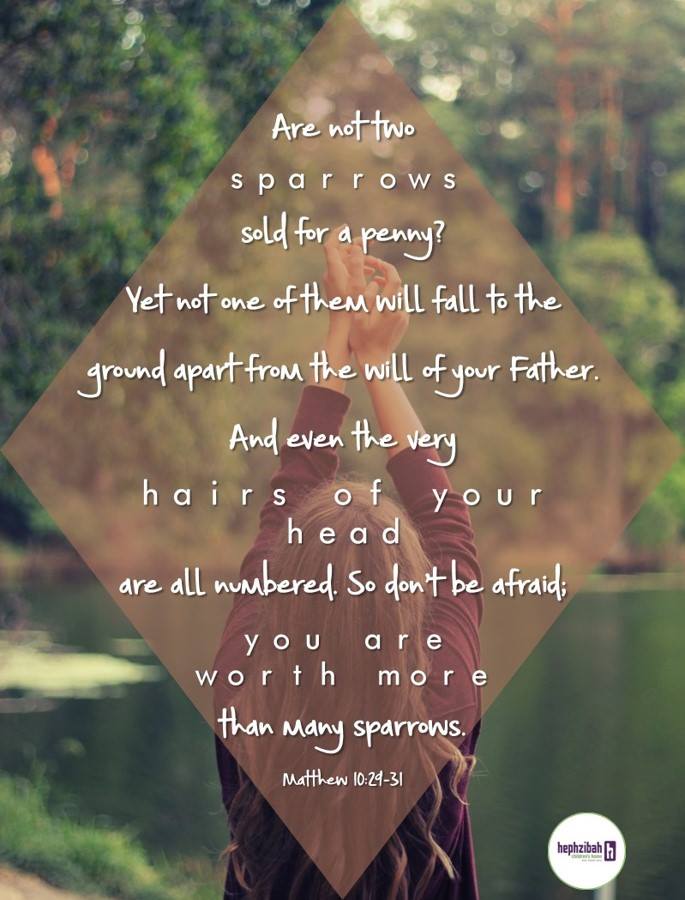 Photo 1 from Hephzibah 6234